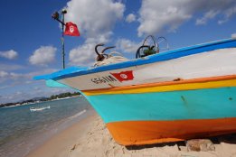tun (658).jpg